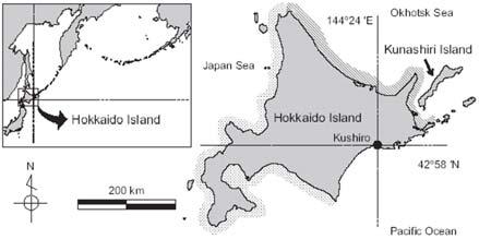 Morita et al. 2006 A review of Pacific salmon hatchery programmes on Hokkaido Island, Japan ICES J. Mar. Sci.