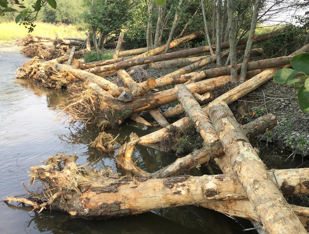 Temperature Helped reduce water temperature by developing pools, offering localized shade from the woody debris, and accessing the floodplain with activation of the side-channels.