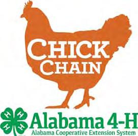 ALABAMA 4-H CHICK CHAIN PROJECT The Alabama 4-H Chick Chain Project is designed to teach 4-H members recommended management practices for growing and raising chicken.