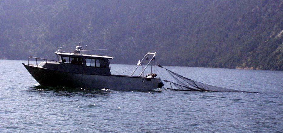 Rolling Provincial Review: Implementation 2001-2003 199404700 Lake Pend Oreille Fishery Recovery Project 2002 Project Objectives Recover kokanee abundance so that a harvest of 750,000 can be