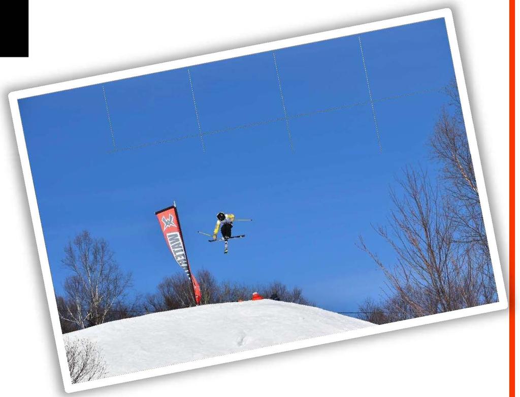 level), the FIS Grand Prix, the Rev Tour, as well as various open events and local rail jam events.