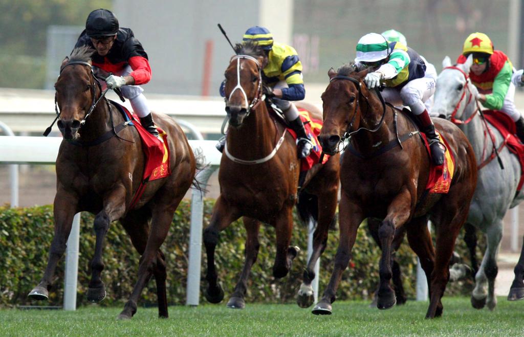 RACE HISTORY Contentment s victory in the 2016 Queen s Silver Jubilee Cup marked the second year that the race was run as an international Group 1 contest with prizemoney of HK$10 million.