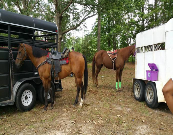 The Bounty Hunters Saddle Club (Wilson, NC) was established in 1989 by a group of men that had the same hobby and passion in common. The love of horses and the love of riding trails.