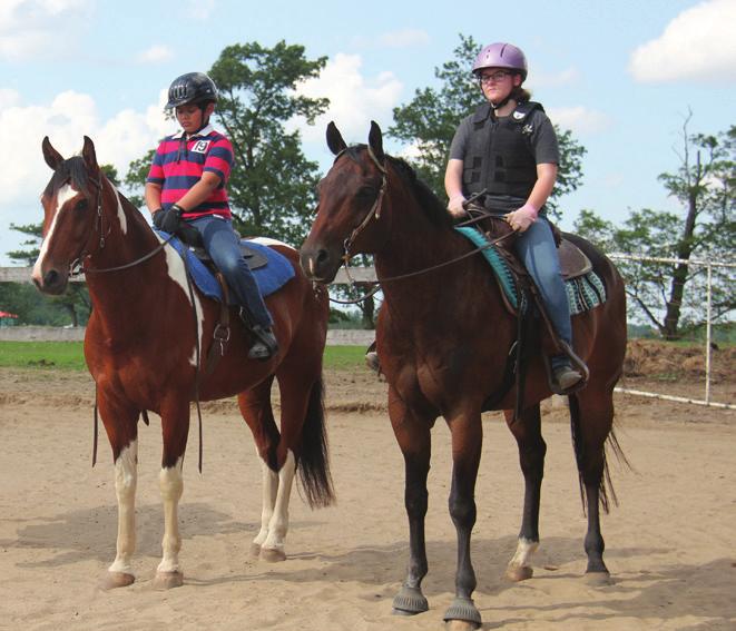 English riders also ride with one hand holding each rein, using their hands (through contact with the reins to the horse s mouth), their leg and weight to guide the horses direction and impulsion.