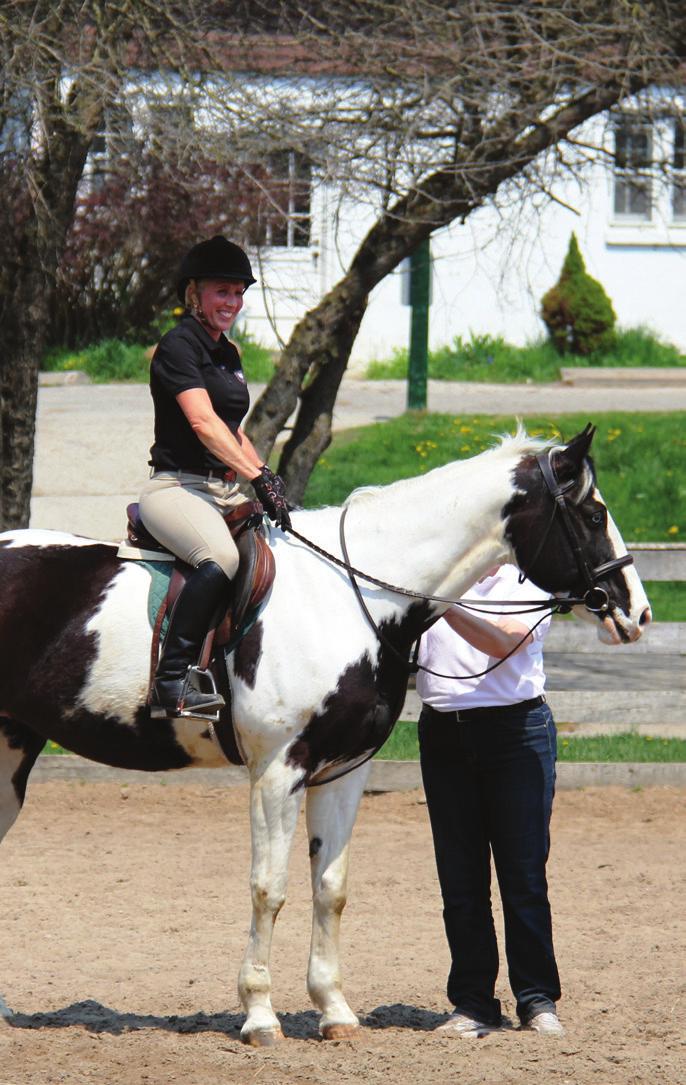 The large saddle also spreads the riders weight over more of the horses back.