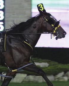 Hands On Horse Breeder It was a banner year for Millstream Farm in 2011 with a Hambletonian Oaks winner among its
