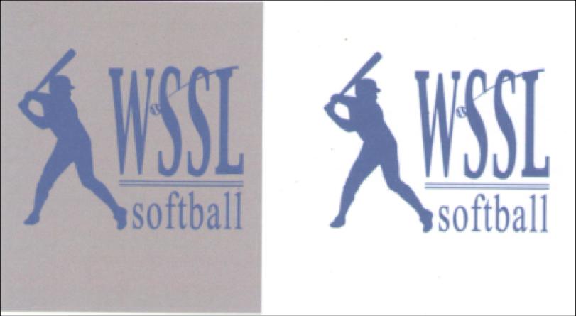 Shirt Colors and Logos 2/20/2019 WSSL Membership Meeting 21 Website (wsslva.