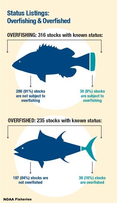 By The Numbers NOAA Fisheries tracks 474 stocks or stock complexes in 46 fishery management plans.