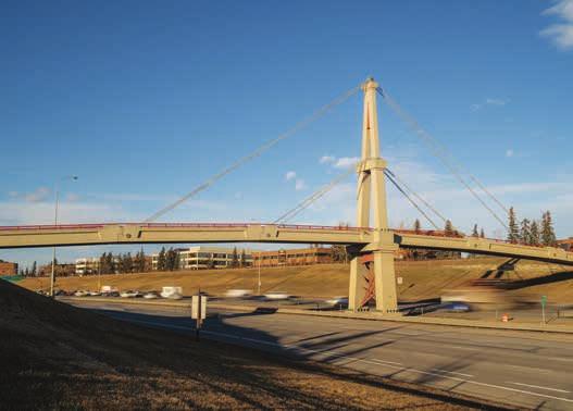 142 Street Pedestrian/Cyclist Bridge A pedestrian/cyclist bridge is proposed as part of Stage 2 over Whitemud Drive between Bulyea Heights