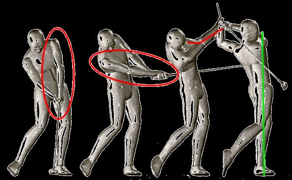 GOLF SPECIFIC BODY MECHANICS The Forward Swing From the physiotherapist perspective these points are important: Unwinding the rotation developed