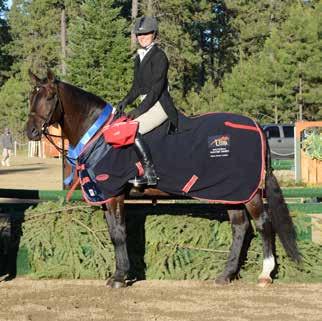 USEF NATIONAL (A) RATED HUNTER DIVISIONS AND CLASSES DIVISION SECTION CLASS DIVISION FEE CLASS FEE PRIZE MONEY Per class Regular Conformation Hunters 3 9 A 2, 11, 12, 87, 88, 92 $180 Division Fee