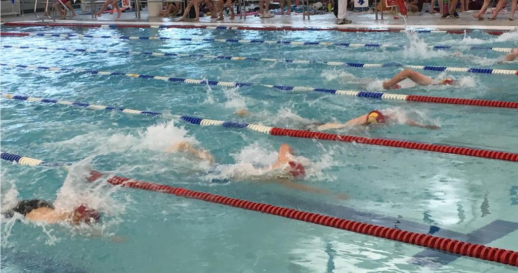 Swimmers from across all stages and squads put on a great show which not only produced many exciting races but also saw club records tumbling and over 760 PBs achieved.