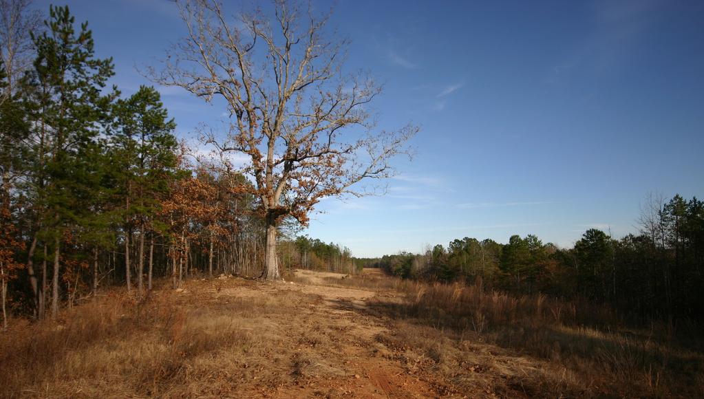 ±637.77 ACRES HUNTING /