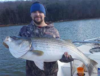 Loudon Dam - guided by FISH ON!