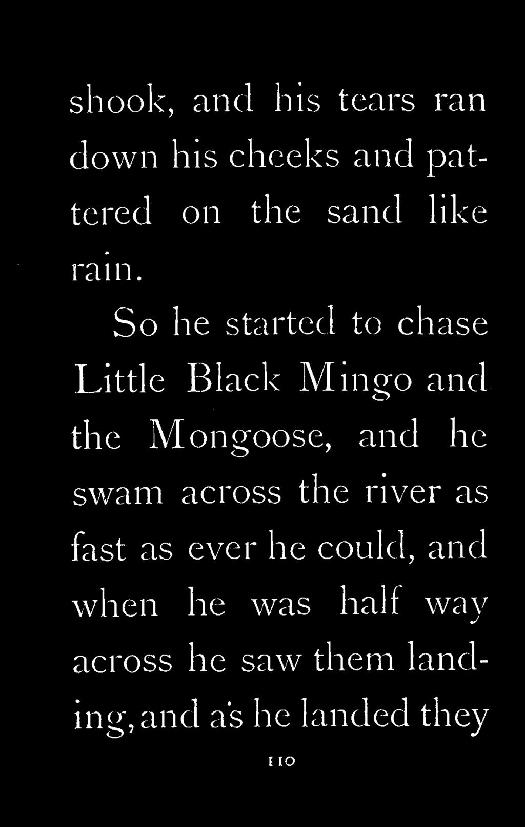 So he started to chase Little Black Mingo and the Mongoose, and he