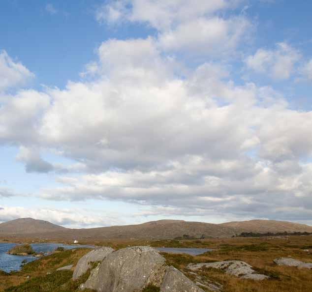 ISPG was set up by a group of artisan farmers in Connemara producing a relatively small quantity of Irish salmon.