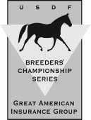 2010 Great American Insurance Group/USDF Breeders Championship Series The Great American Insurance Group/USDF Breeders Championship Series (USDFBC) is a program designed to promote breeders and