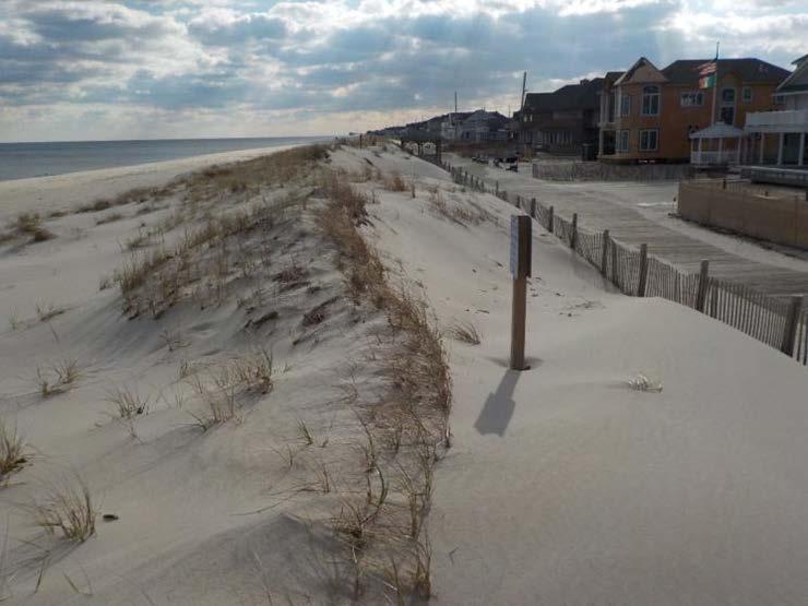 NJBPN 150 White Avenue, Lavallette The photos of the dune at White Avenue show little changes inflicted by the January 2017 northeaster (left taken