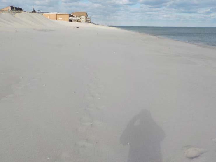 NJBPN 149 8 th Avenue, Ortley Beach The left photo (taken December 9, 2016) shows the mounds that were created from sand scraped from the lower berm through local efforts.