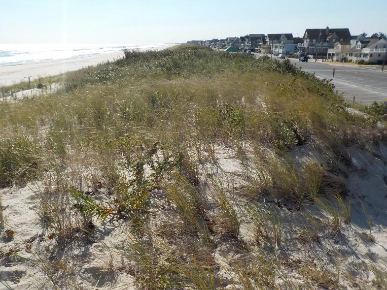 This Seaside Park location is scheduled for beach fill in fall 2018. BOARDWALK Figure 116.