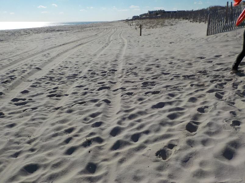 NJBPN 147 6 th Lane, Midway Beach At the 6 th Lane location, both photos (left taken December 9, 2016 and right