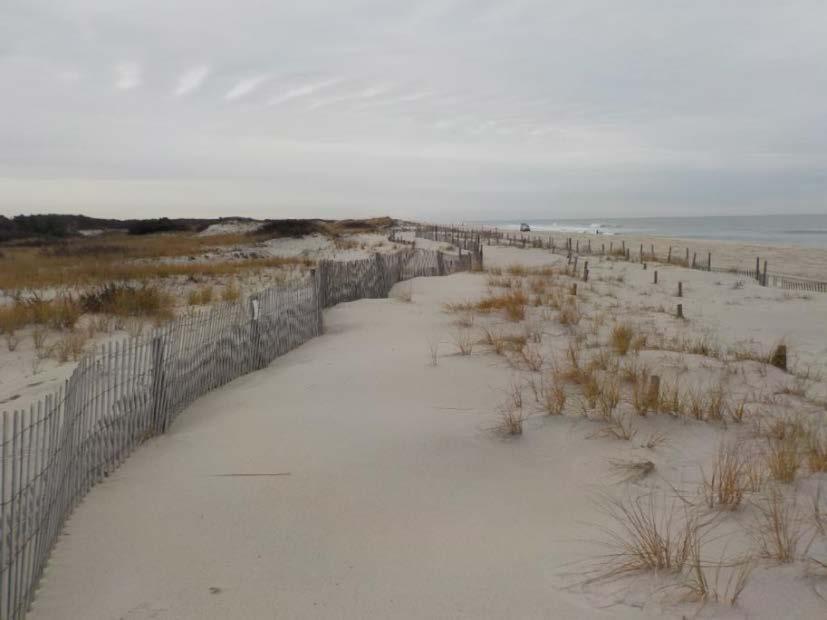 NJBPN 246 Parking Lot A7, Island Beach State Park The sand fencing shown in both photos was responsible for trapping windblown sand and contributing to the small volume gains along the seaward