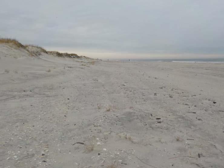 NJBPN 146 South End, Island Beach State Park At the southern Island Beach State Park site there was little change to the dune or backshore between 2016 and 2017