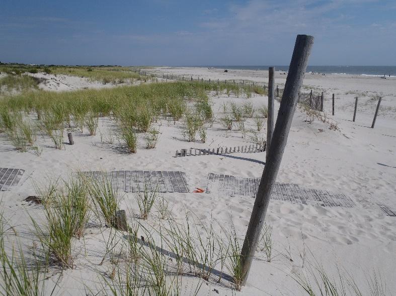 The stability is attributed to the profile s position with respect to the Barnegat Inlet south jetty which traps the northward-driven littoral drift. Figure 122.
