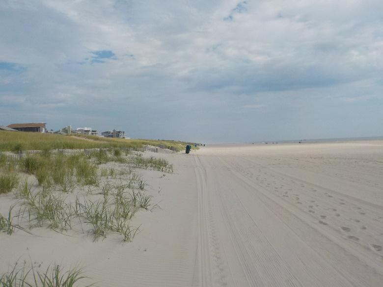 While the dune and backshore at this Long Beach Township location remained relatively unchanged from September 2016, the seaward portion of the berm and beachface