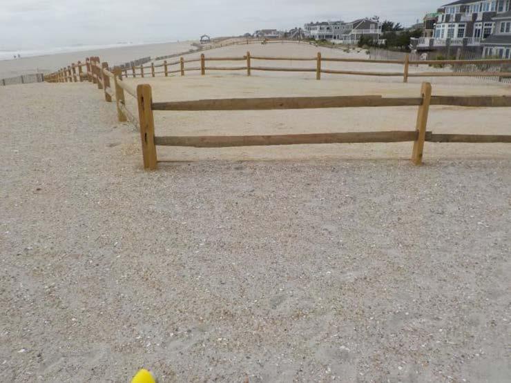 NJBPN 137 Taylor Avenue, Beach Haven By the fall 2017 survey, planting of the engineered dune was completed at the Taylor Avenue location (photos from dune crest