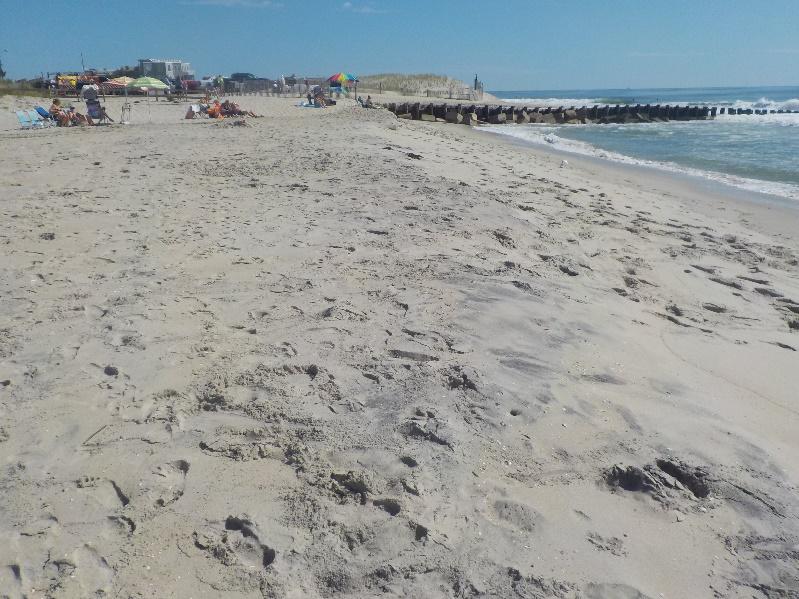 The dune that was constructed in post-hurricane Sandy recovery efforts remained unchanged in 2016-2017. Most of the changes occurred at the seaward portion of the berm and in the nearshore.