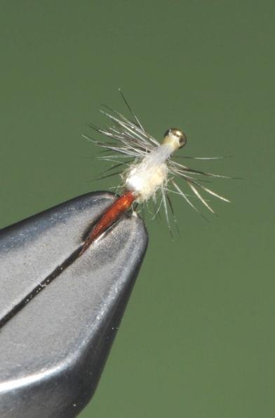 Troth Emerging Mayfly Tying the Troth emerging mayfly This is a killer fly for the sulphur hatch in July and August.