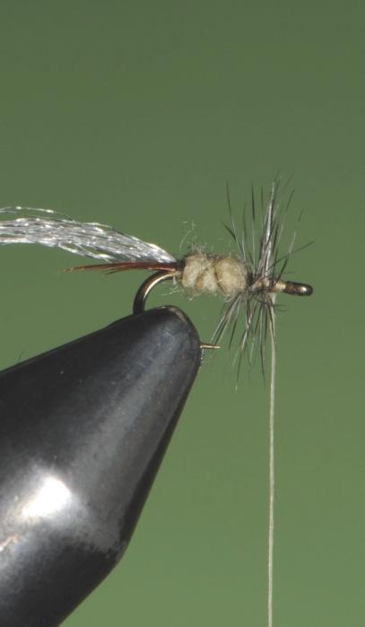 3) Tie in the grizzly hackle and wind forward 2-3 turns.