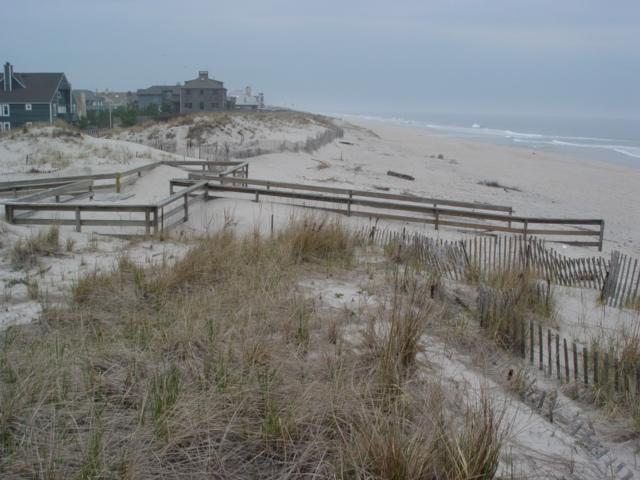 Figure 120. This view was taken from the crest of the dune looking north on April 14, 2006. This site has seen substantial dune growth over the decades since the beach became public.