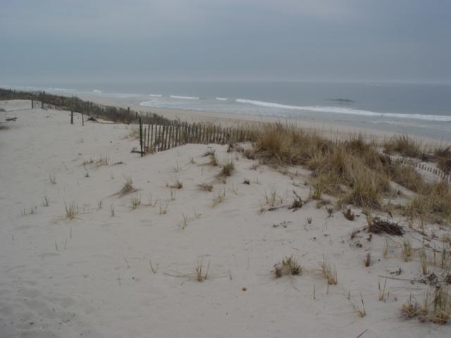 Between spring 2006 and the fall of 2007, the beach volume was increased by 26.04 yds 3 /ft with a 45-foot advance to the shoreline position. However, the offshore region lost 21.