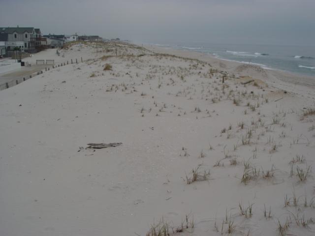 Figure 126. The dunes in Lavallette occupy a substantial percentage of the beach zone seaward of the ocean promenade in the community.