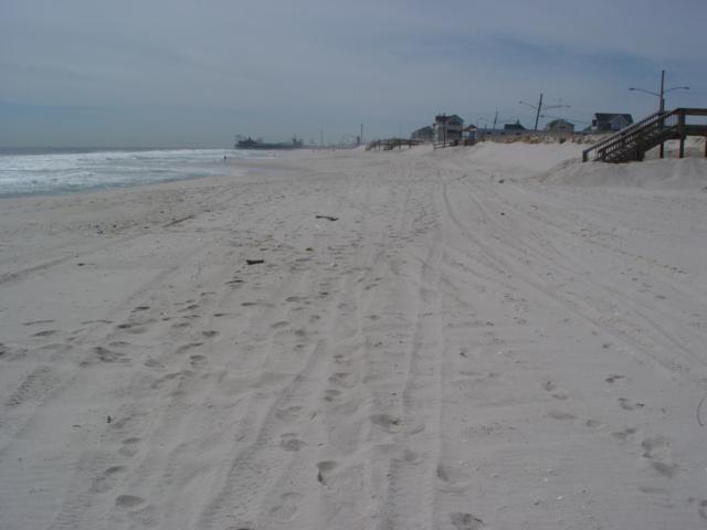 This view taken October 12, 2007, shows the entire width of the beach from a small scarp notched into the berm, back to the toe of the dunes.