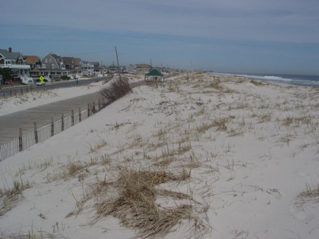 Figure 132. This view to the north along the dune crest shows the boardwalk and Ocean Avenue in Seaside Park.