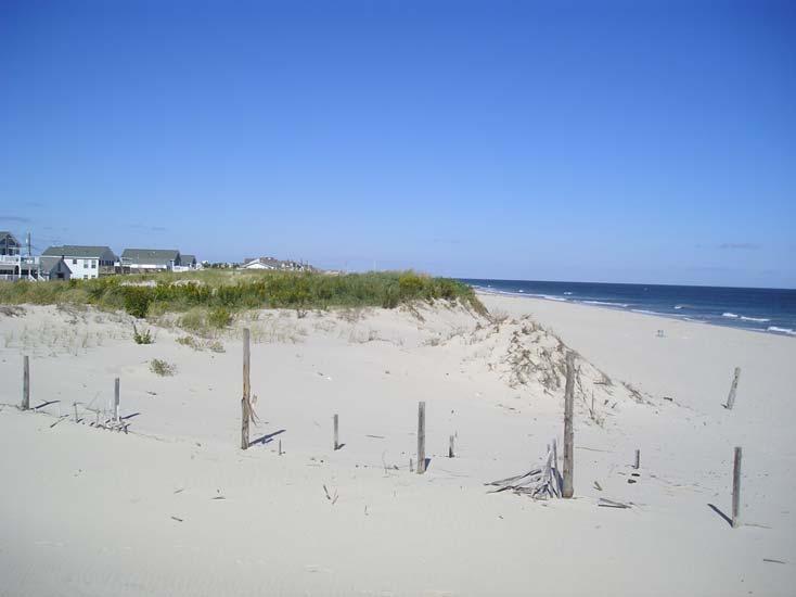Figure 135. The Midway Beach site was moved south of the access pathway a couple of years ago so that the dune could be part of the profile surveyed.