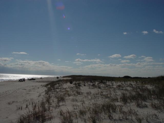 Figure 138. Island Beach State Park represents an extraordinary resource for the citizens of New Jersey.