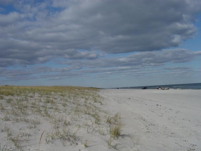 Figure 144. At the south end of the park the beach gets progressively wider due to the north jetty to Barnegat Inlet trapping sand.