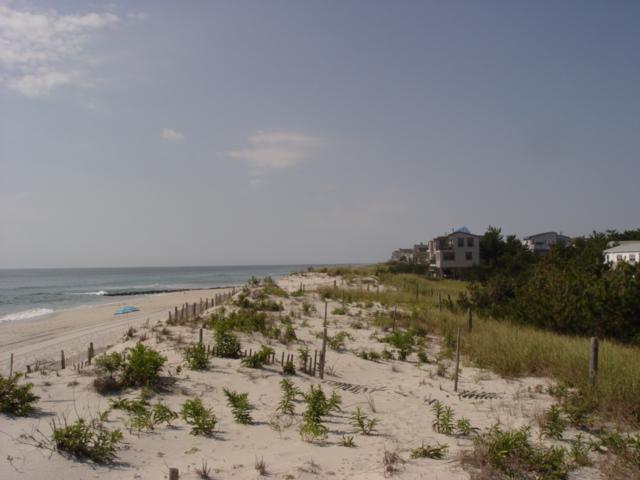 Figure 156. The dune is not sufficient to withstand a serious storm, but it is not the least along the Long Beach Island shoreline either.