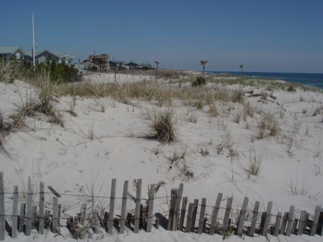 Figure 168. This beach has a better-than-average dune width and elevation with a 70-foot wide summer beach that potentially is created during the summer accretional season.