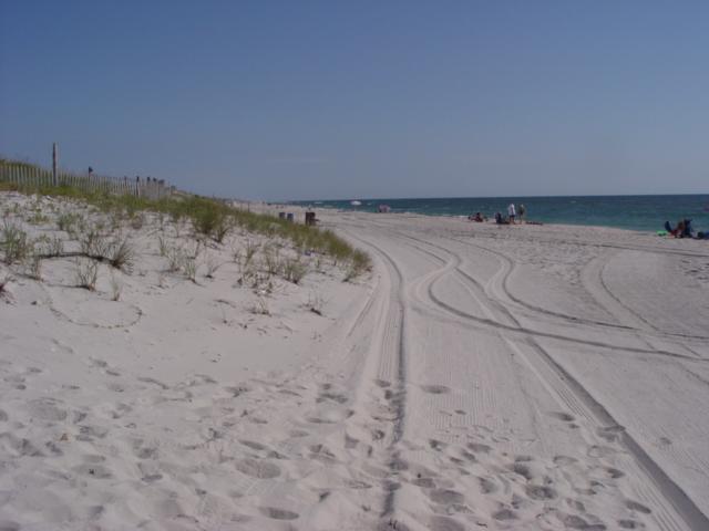 The scope of the change between the spring profiles and the following summer was in the range of 42 to 44 cubic yards of sand per foot added to the beach mostly derived from the offshore bar system.