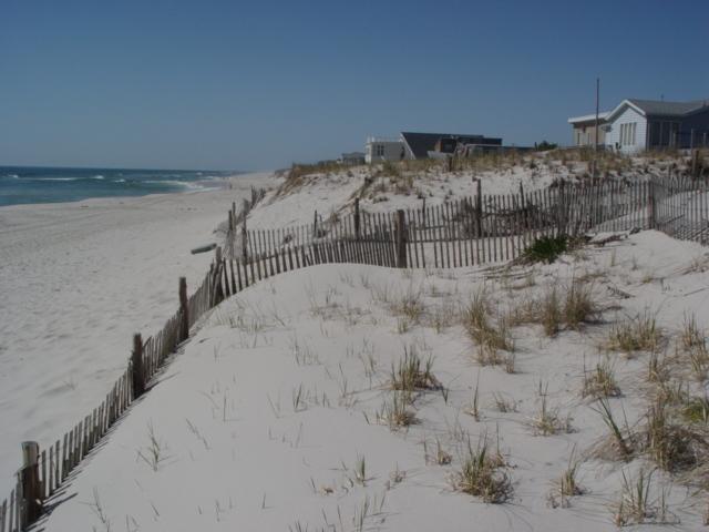 Figure 174. The dune at this site is higher and wider than some in other locations on Long Beach Island.