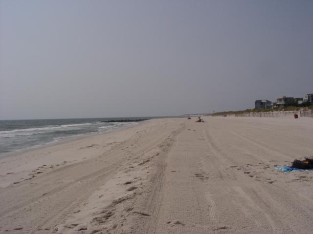 The past two winters have not produced wave erosion at the dune toe. The picture was taken April 18, 2006. DOLPHIN AVENUE, BEACH HAVEN SITE 136 Figure 181.