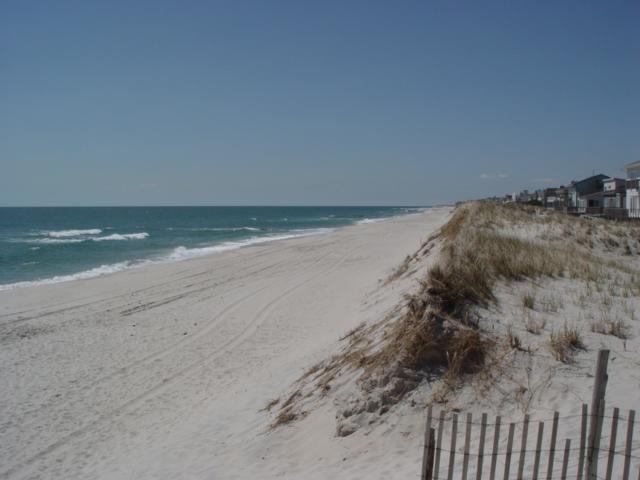 Figure 183. The Webster Avenue site has a tall dune with a near vertical seaward face due to periodic erosion by storms. The width and height is sufficient to withstand minor to moderate storms.