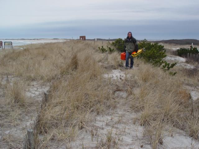 Figure 186. Located on the southern tip of Long Beach Island, this undeveloped section belongs to the Forsythe National Wildlife Refuge.