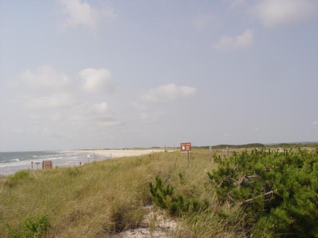 Here the dune is low and narrow because of frequent storm overwash wiping out the line of dunes. The lack of storms has allowed a modest dune to exist. The picture to the left was taken April 3, 2006.