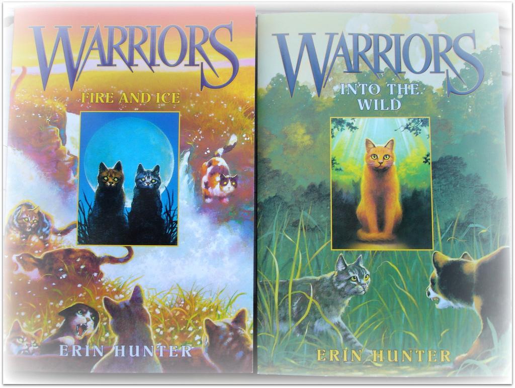 I m reviewing warrior cats into the wild. Rusty was a kitty pet until he became a warrior cat.one day he went into the forest.